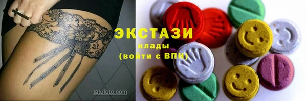 крисы Богородицк