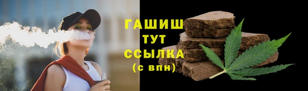 крисы Богородицк