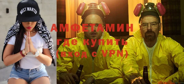 крисы Богородицк
