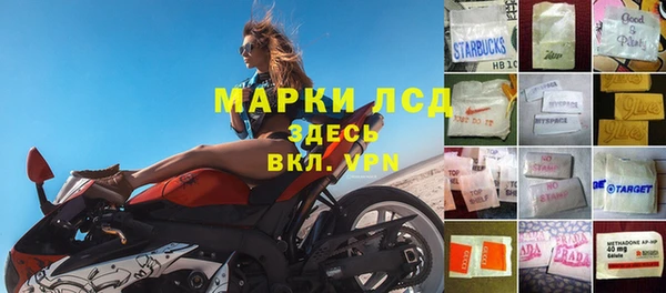 крисы Богородицк
