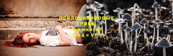 крисы Богородицк