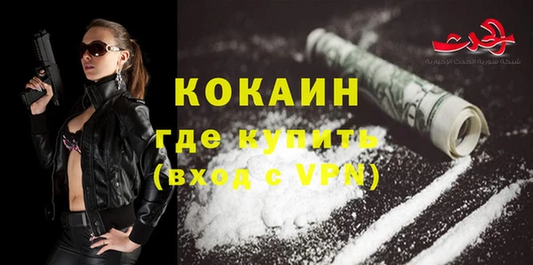крисы Богородицк